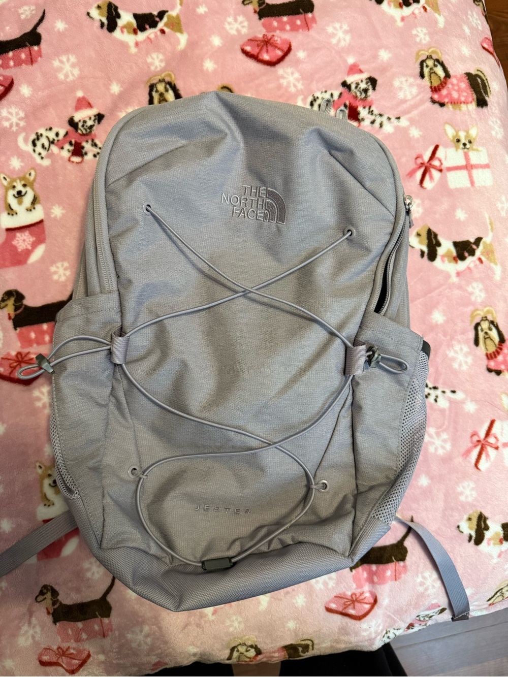 The North Face Light Purple Jester Daypack